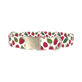 Raspberry Fruit Dog Collar - metal silver