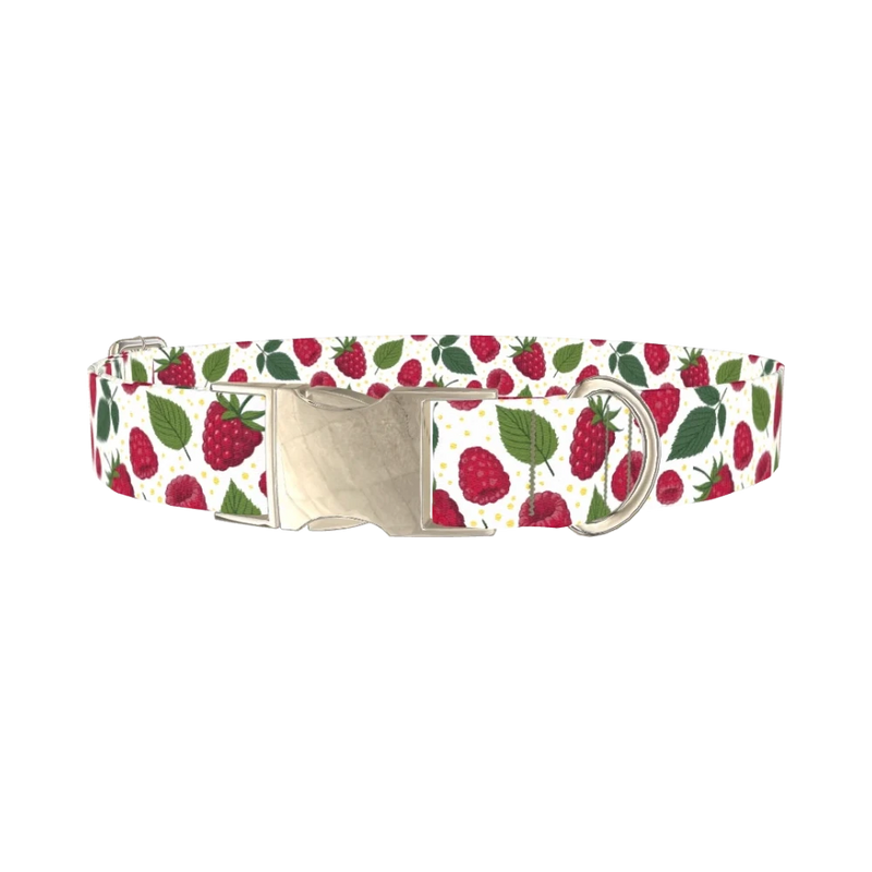 Raspberry Fruit Dog Collar - metal silver