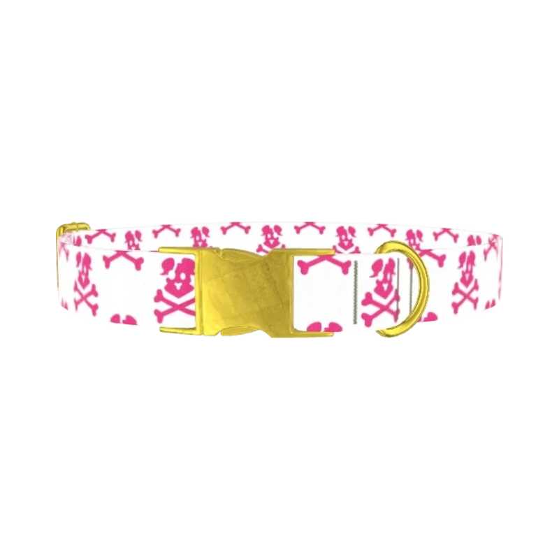 Pirate Dog Skull Dog Collar - metal gold