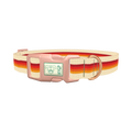 Retro Hexagon Stripe Dog Collar - plastic rose gold