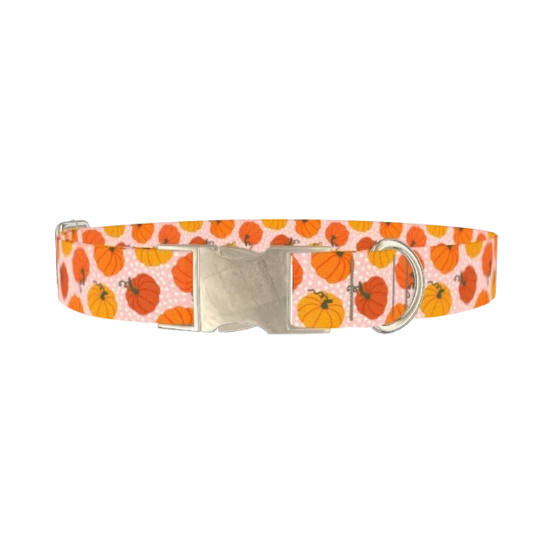 Halloween Pumpkin Dot Dog Collar - metal silver