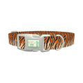 Tiger Stripe Dog Collar - plastic silver