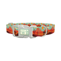 Southwest Desert Dog Collar - plastic silver