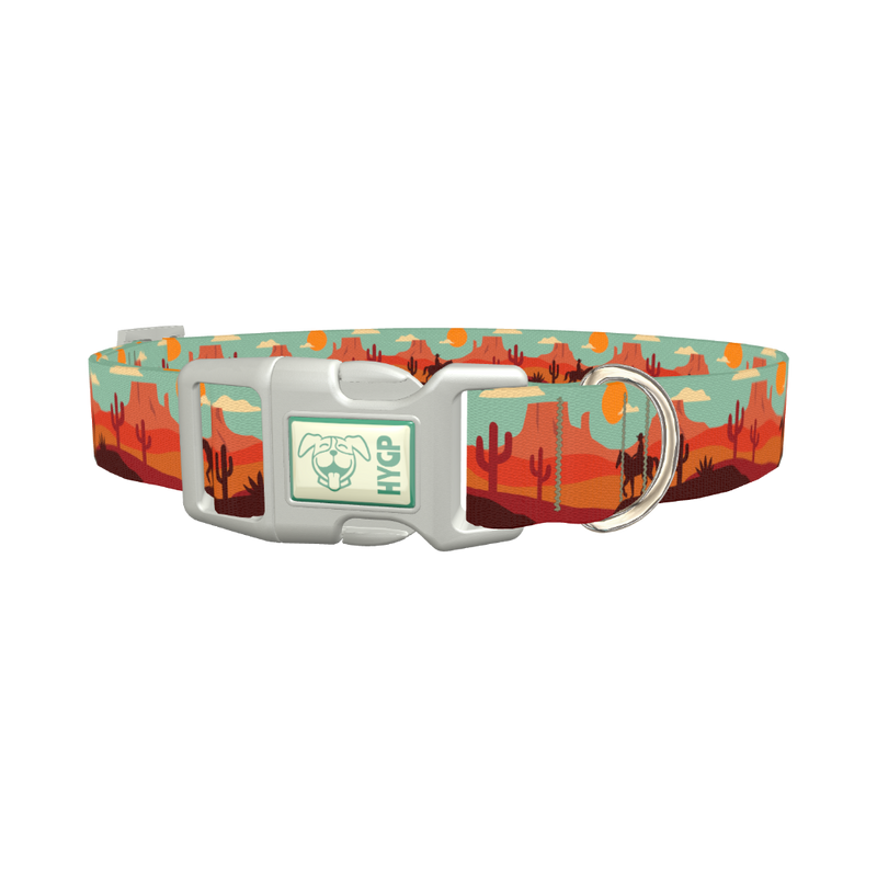 Southwest Desert Dog Collar - plastic silver