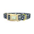 Football Sports Dog Collar - plastic gold