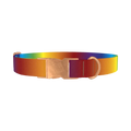 Rainbow Gradient Dog Collar - metal rose gold