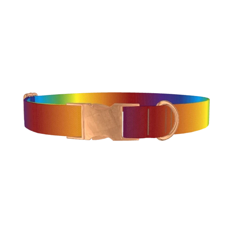 Rainbow Gradient Dog Collar - metal rose gold