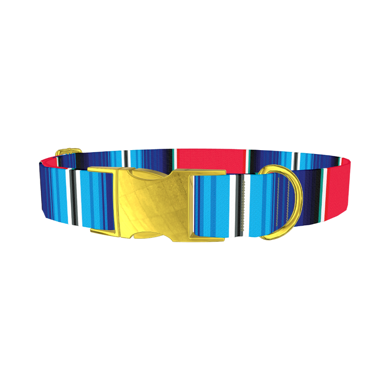 Vivid Stripe Dog Collar - metal gold