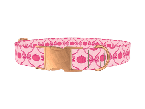 Halloween Pink Pumpkin Dog Collar