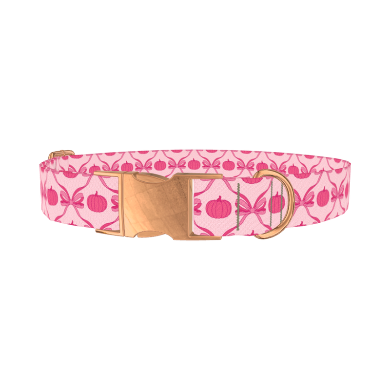 Halloween Pink Pumpkin Dog Collar - metal rose gold