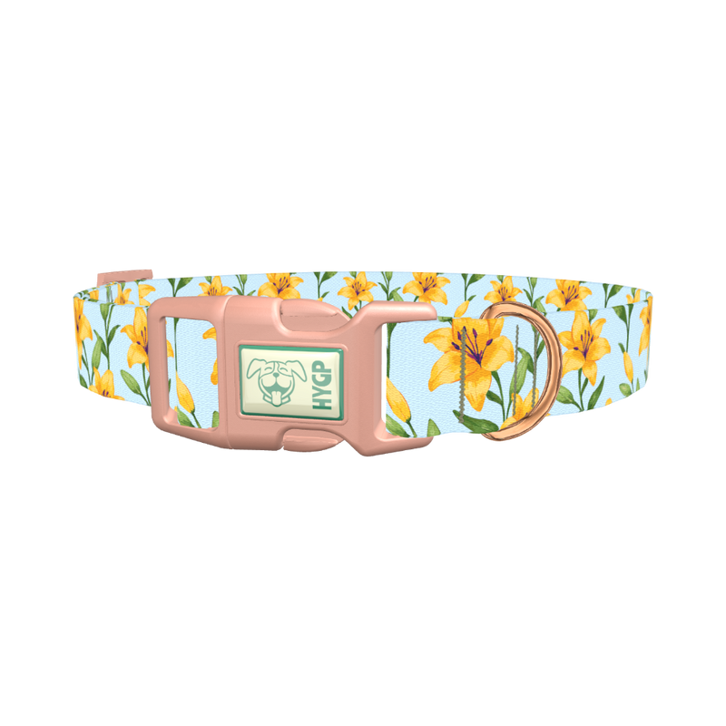 Floral Yellow Lily Dog Collar - plastic rose gold