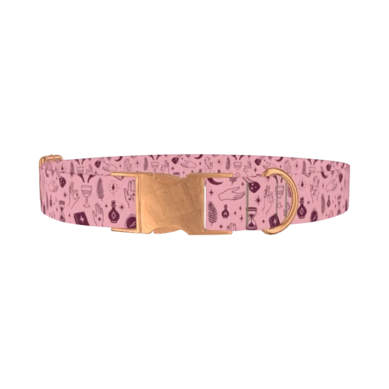 Halloween Palmistry Dog Collar - metal rose gold