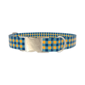 Yellow Blue Checkered Dog Collar - metal gold