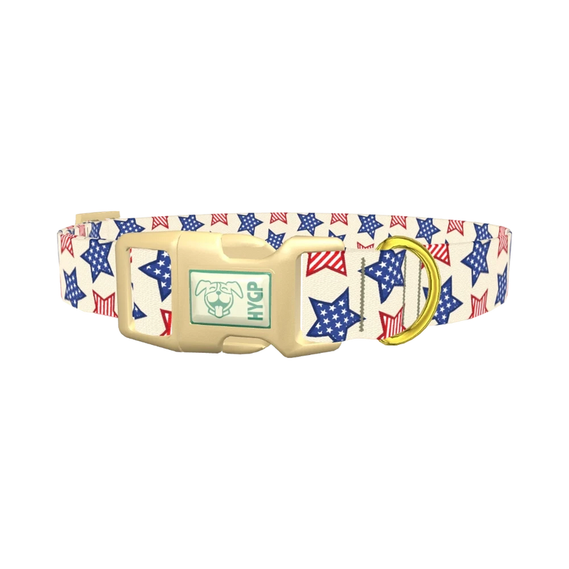 Striped Stars Dog Collar - plastic gold