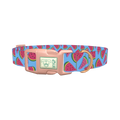 Geometric Watermelon Dog Collar - plastic rose gold