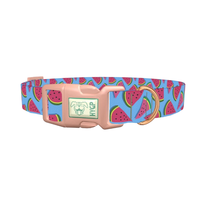 Geometric Watermelon Dog Collar - plastic rose gold