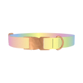 Pastel Gradient Dog Collar - metal rose gold