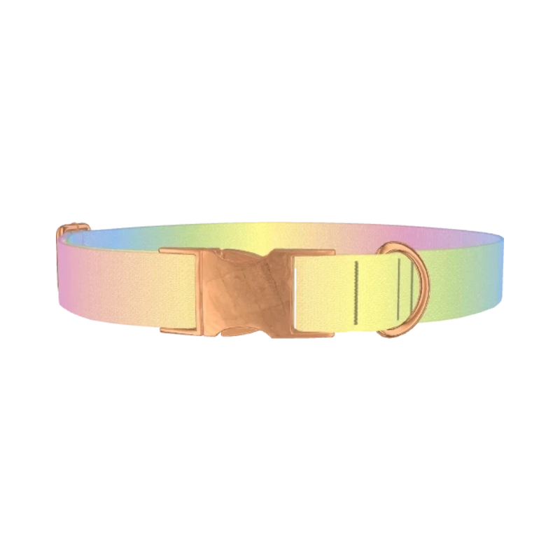 Pastel Gradient Dog Collar - metal rose gold