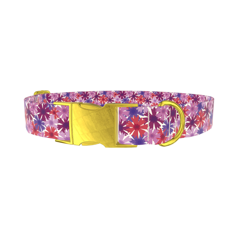 Colorful Cornflower Dog Collar