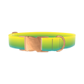Gradient Dog Collar - metal rose gold