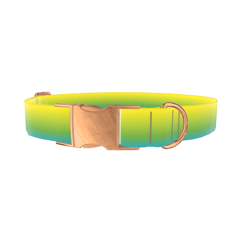 Gradient Dog Collar - metal rose gold