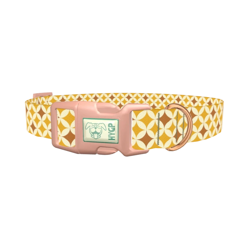 Yellow Geometric Star Dog Collar - plastic rose gold