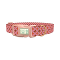 Geometric Star Dog Collar - plastic rose gold