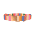 Colorful Stripe Pattern Dog Collar - metal rose gold