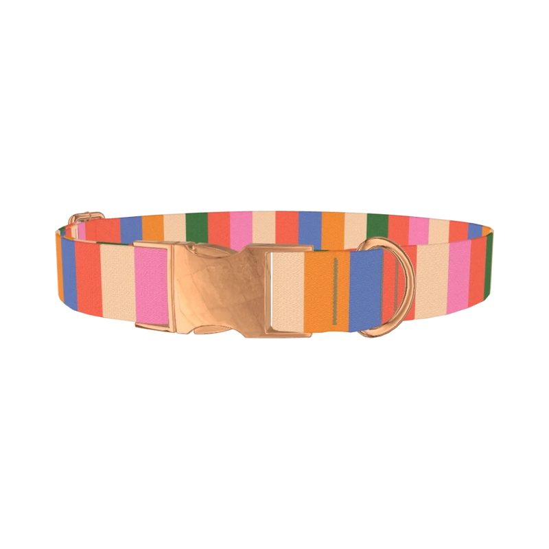 Colorful Stripe Pattern Dog Collar - metal rose gold