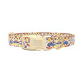Tie Dye Dog Collar - plastic silver