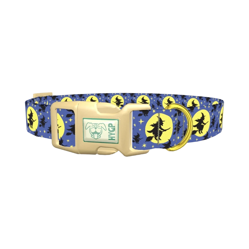 Halloween Witch Dog Collar - plastic gold
