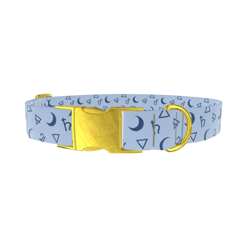 Astrology Symbols Dog Collar - metal rose gold