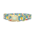 Colorful Beach Ball Pattern Dog Collar - plastic gold