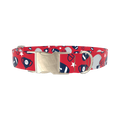 Red Football Trophy Dog Collar - metal silver