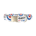 Patriotic 4th of July Dog Collar - metal silver