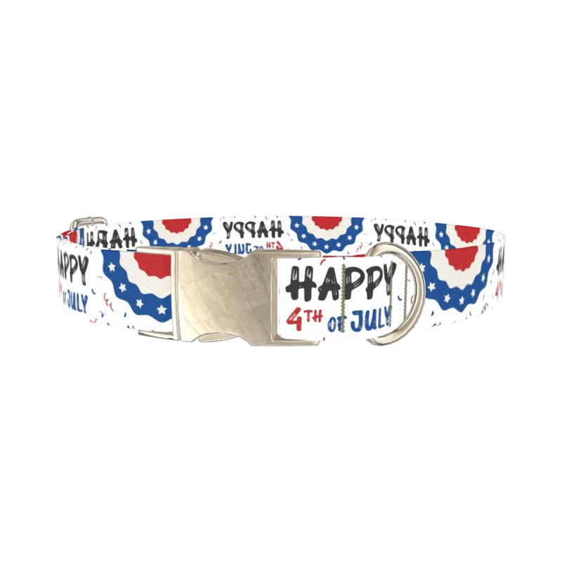 Patriotic 4th of July Dog Collar - metal silver