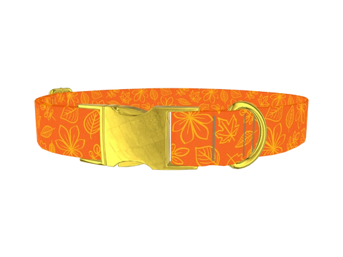 FAll_OrangeLeaves
