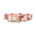Striped Rose Pattern Dog Collar - plastic rose gold