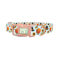 Thanksgiving Turkey Dog Collar - plastic rose gold