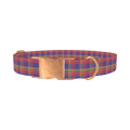 Multicolor Plaid Dog Collar - metal rose gold