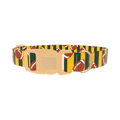 Green Stripe Football Dog Collar - plastic gold