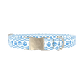 Cyan Skull Pattern Dog Collar - metal silver