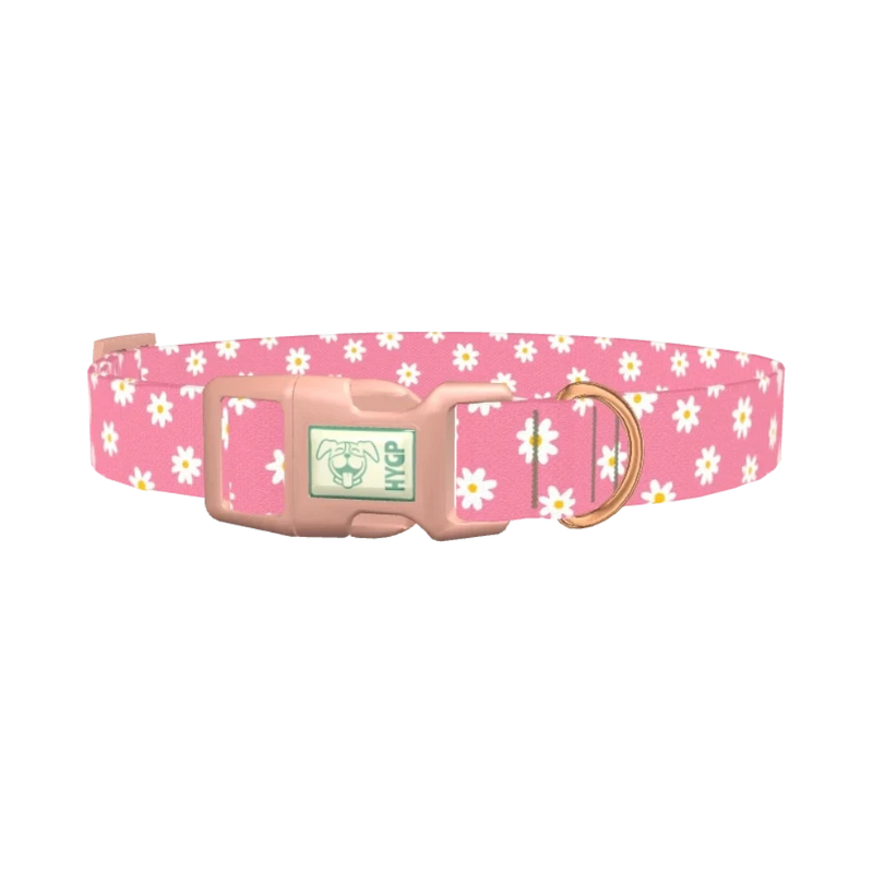 White Daisy Pink Dog Collar - plastic rose gold