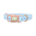Cyan Skull Pattern Dog Collar - plastic rose gold