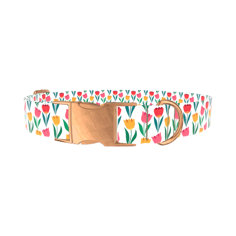 Colorful Tulip Dog Collar - metal rose gold