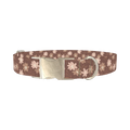 Floral Coffee Dog Collar - metal silver