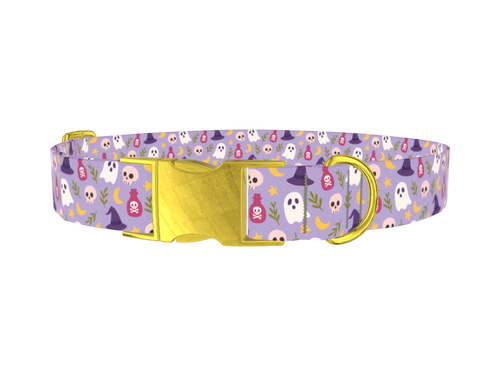 Halloween Ghost Dog Collar