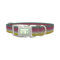 Rainbow Trout Pattern Dog Collar - plastic silver