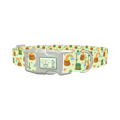 St. Patrick's Day Dog Collar - plastic silver