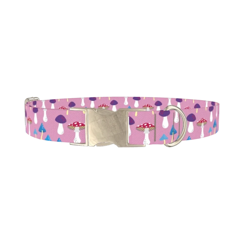 Multicolor Mushroom Dog Collar - metal silver